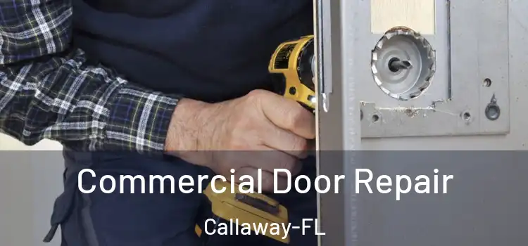  Commercial Door Repair Callaway-FL