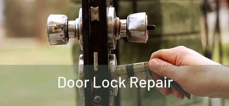 Door Lock Repair