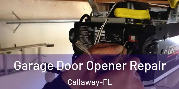  Garage Door Opener Repair Callaway-FL