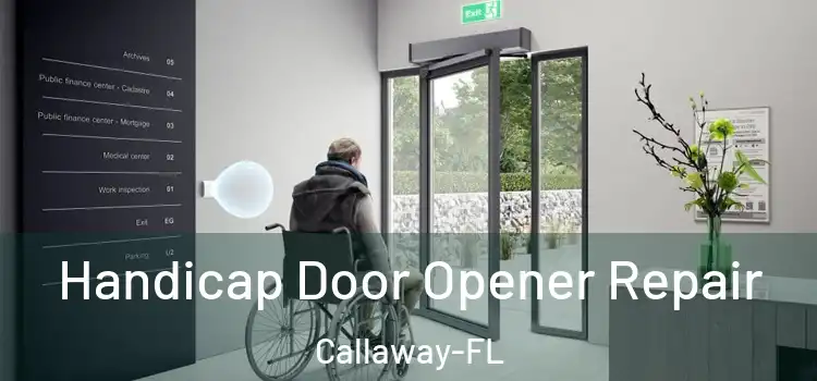  Handicap Door Opener Repair Callaway-FL