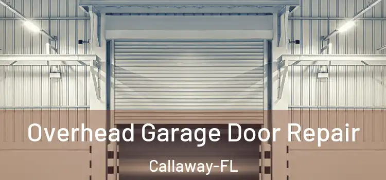 Overhead Garage Door Repair Callaway-FL