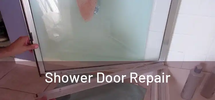  Shower Door Repair 