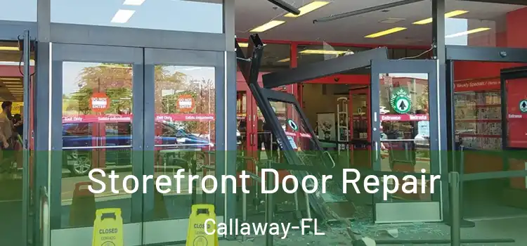  Storefront Door Repair Callaway-FL